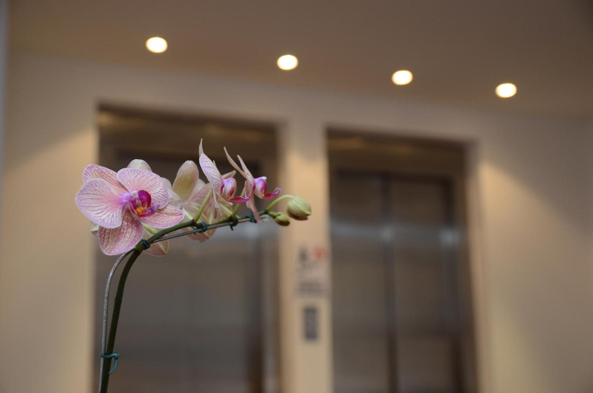 Grand Crucero Hotel Puerto Iguazú Zewnętrze zdjęcie